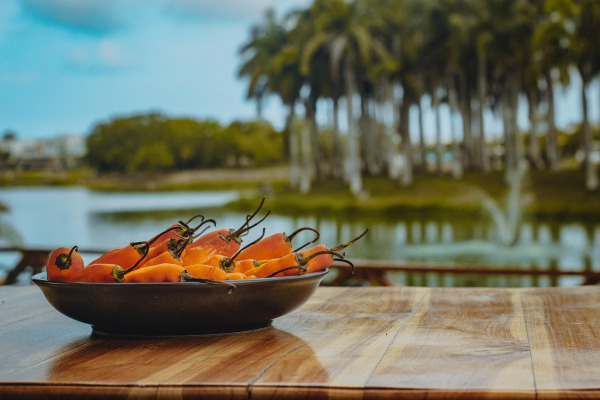 Göktepe’den tatlı pul biber – doğal baharat, Muğla